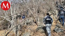 Son encontrados siete cuerpos en avanzado estado de descomposición; Morelos, Michoacán