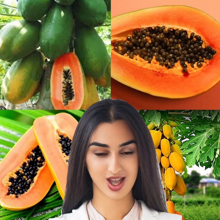 Papaya benefit for health. video Dailymotion