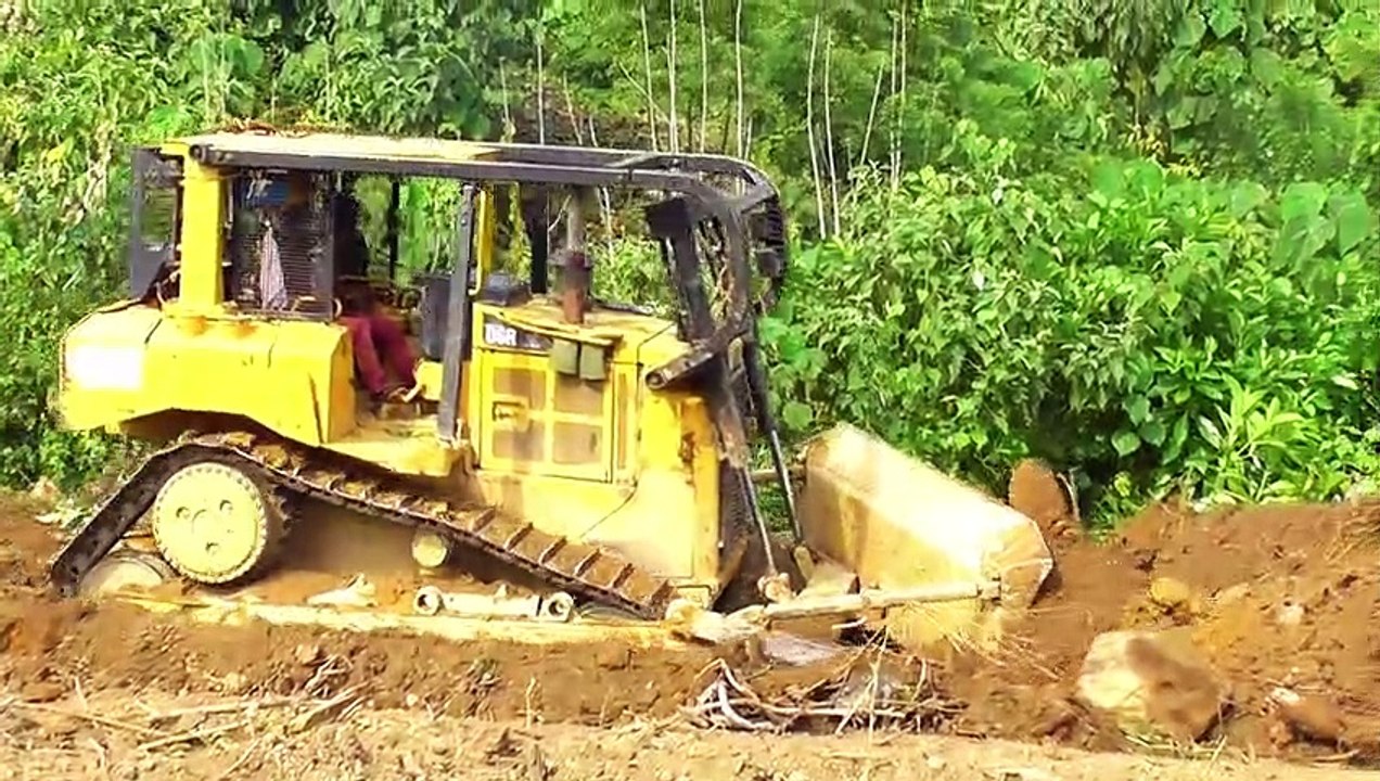 Bulldozer D6R XL Road Construction in Oil Palm Plantation