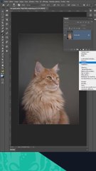 Tips Photoshop - Retouche photo