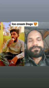 ICE Cream Dogs Prem funny moments Reels Video #fuuny #reels #fb #fbviral #fbshorts #motivation #tendingreels #instareels