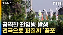 [자막뉴스] 감염 경로 '미스터리'...두려움에 덜덜 떠는 농가 / YTN