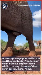 'Towering' Super Tusker Elephant Gives Photographer and Son a Memorable Encounter