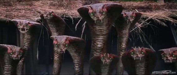 9 HEADS PYTHON (2023)Action | Adventure| thriller |movies