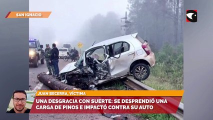 Una desgracia con suerte: Se desprendió una carga de pinos e impactó contra su auto