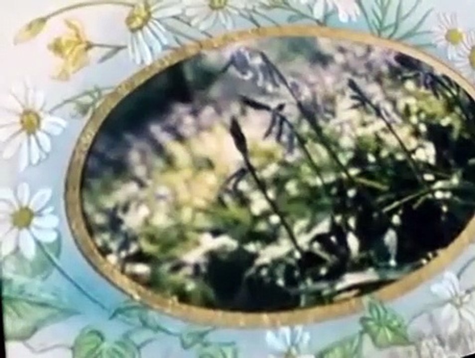 The Wind in the Willows The Wind in the Willows E044 – Lord Toad