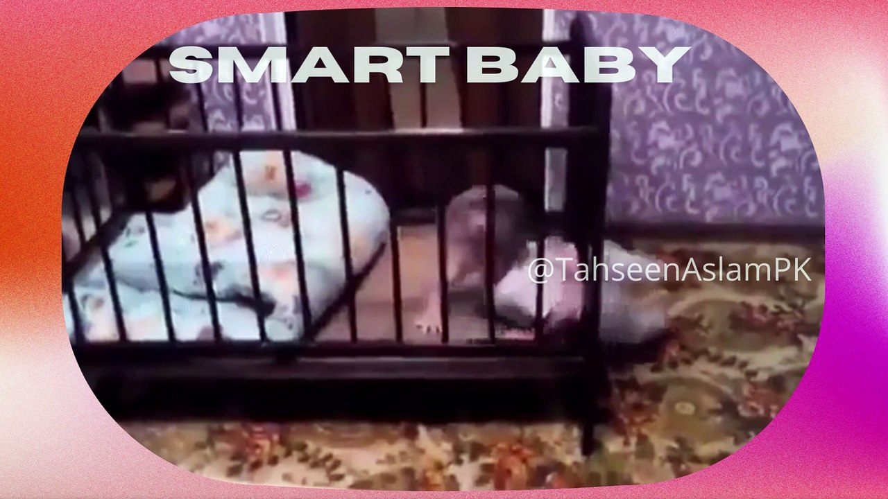 Smart Clever BABY.