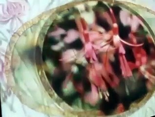 The Wind in the Willows The Wind in the Willows E045 – Hot Air