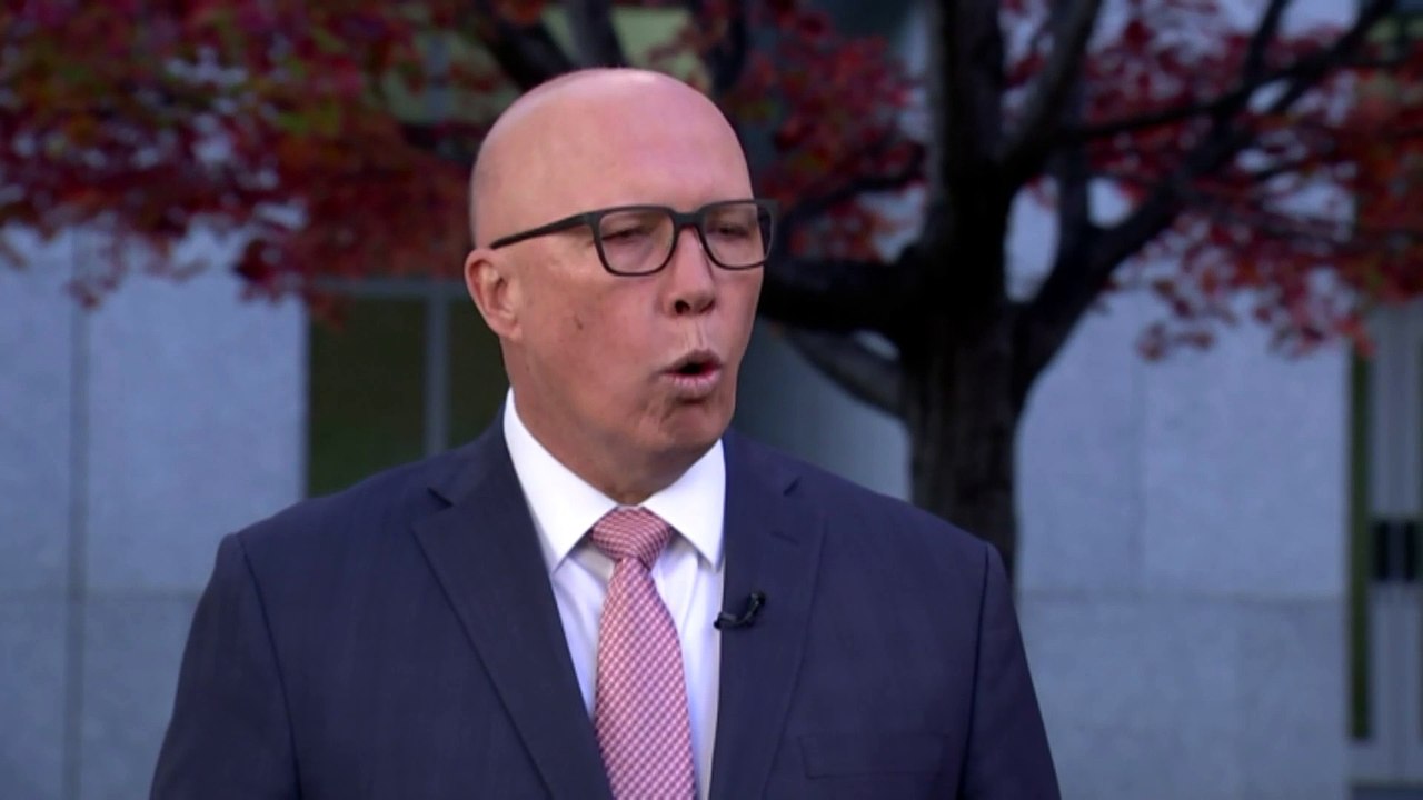 Peter Dutton says federal budget’s energy bill relief payments are a short-term fix