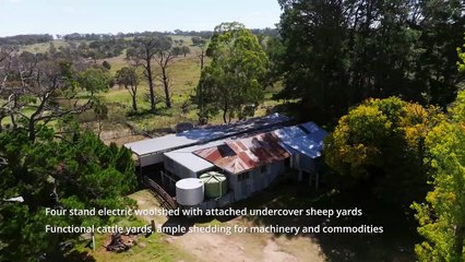 Olmo, Armidale, NSW - May 11, 2023 - Farmonline