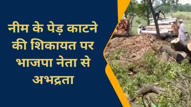 बिजनौर: यूके लिप्टस की आड़ में काटे गए नीम के पेड़