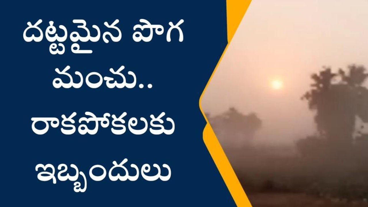 శ్రీకాకుళం: దట్టమైన పొగ మంచు.. రాకపోకలకు ఇబ్బందులు