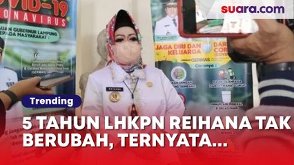 Jumlah Kekayaan Tak Berubah Selama 5 Tahun, Ternyata LHKPN Milik Kadinkes Lampung Reihana Disusun Stafnya