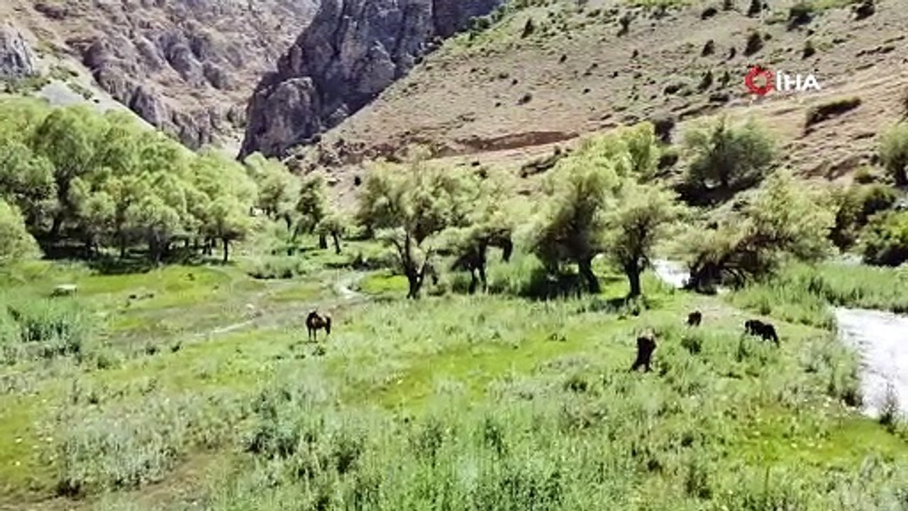 Havalar ısındı, doğa tutkunları oraya akın etti