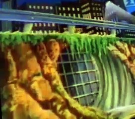 Teenage Mutant Ninja Turtles (1987) Teenage Mutant Ninja Turtles E142 Sleuth on the Loose