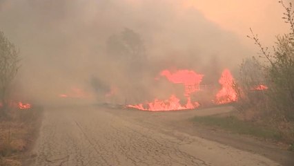 下载视频: Estado de emergencia en Siberia por los incendios forestales