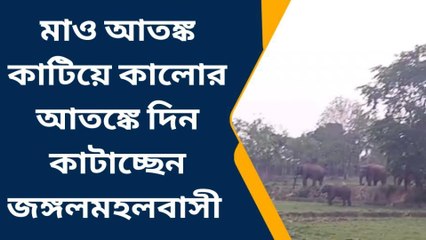 ঝাড়গ্রাম: মাওবাদী আতঙ্ক কাটিয়ে এখন অন্য আতঙ্কে দিন কাটছে জঙ্গলমহলের!