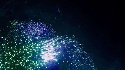 Meg 2 : The Trench Türkçe altyazılı fragman