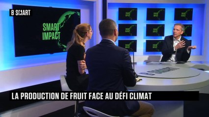 SMART IMPACT - Le débat du mercredi 10 mai 2023