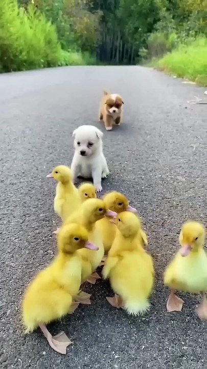 My friends group . A beautiful moment  #shorts