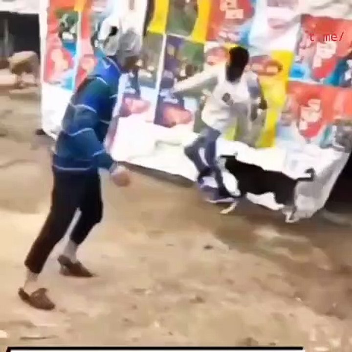 Don't you dare play with the dog
