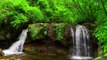 1 Hour of Relaxing Water Sounds - Beautiful Cascade Waterfall