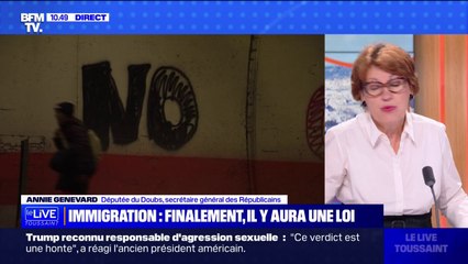 Annie Genevard, secrétaire générale des Républicains, sur la loi immigration: "Davantage de fermeté permettra une meilleure intégration"
