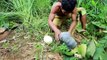 survival in the rainforest with This area is rich life in Ostrich - cooking Ostrich Egg with Pumpkin