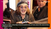 Johnny Depp : Coups de sang, désaccords avec Maïwenn et faux plans... tournage 