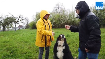 Education Canine avec Isabelle Gall 4/6