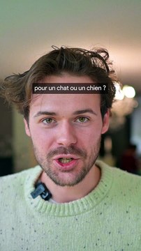 Comment estimer l'age de son chat ou de son chien?