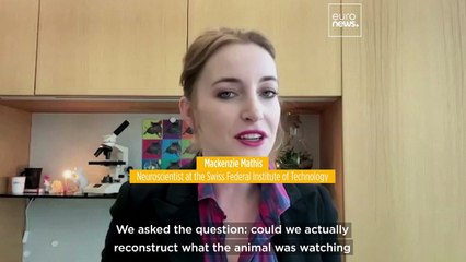 A new AI tool that can decode brain signals proves '95% accurate' on mice