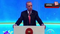 Cumhurbaşkanı Erdoğan'dan sivil ve özgürlükçü Anayasa sinyali