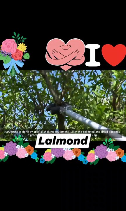 VID_1683639506863