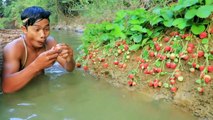 Survival in the forest - fishing in the river found strawberries, Eat delicious strawberries