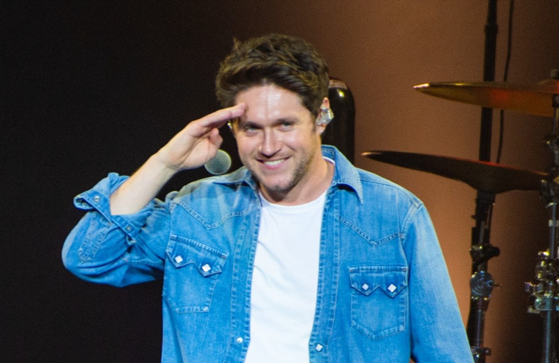 Niall Horan: Tief beeindruckt von seinen Fans