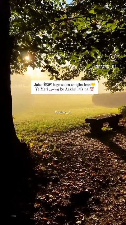 Jaisa बेहतर lage waisa samjha lena Ye Meri بیباسی ke Aakhri lafz hai