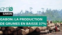 [#Reportage] #Gabon: la production de grumes en baisse 37%