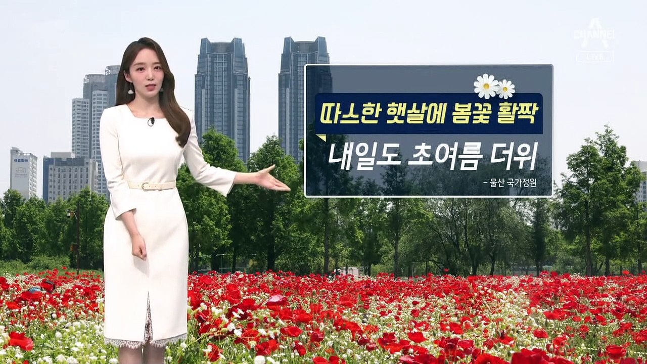 [날씨]내일도 초여름 더위, 서울 26도…중서부 공기 탁해