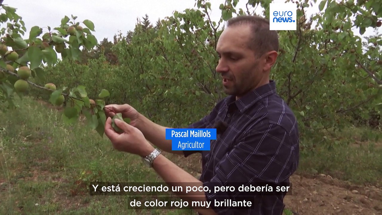 Francia | Situación de crisis por un sequía histórica en los Pirineos Orientales