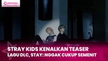 Stray Kids Kenalkan Teaser Lagu DLC, STAY Nggak Cukup Semenit