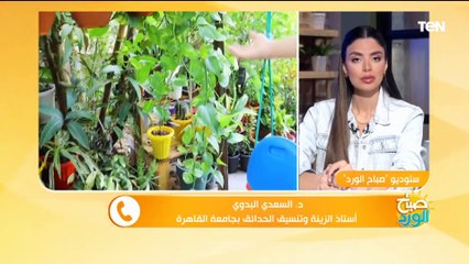 قواعد مهمة للعناية بالنباتات المنزلية في فصل الصيف