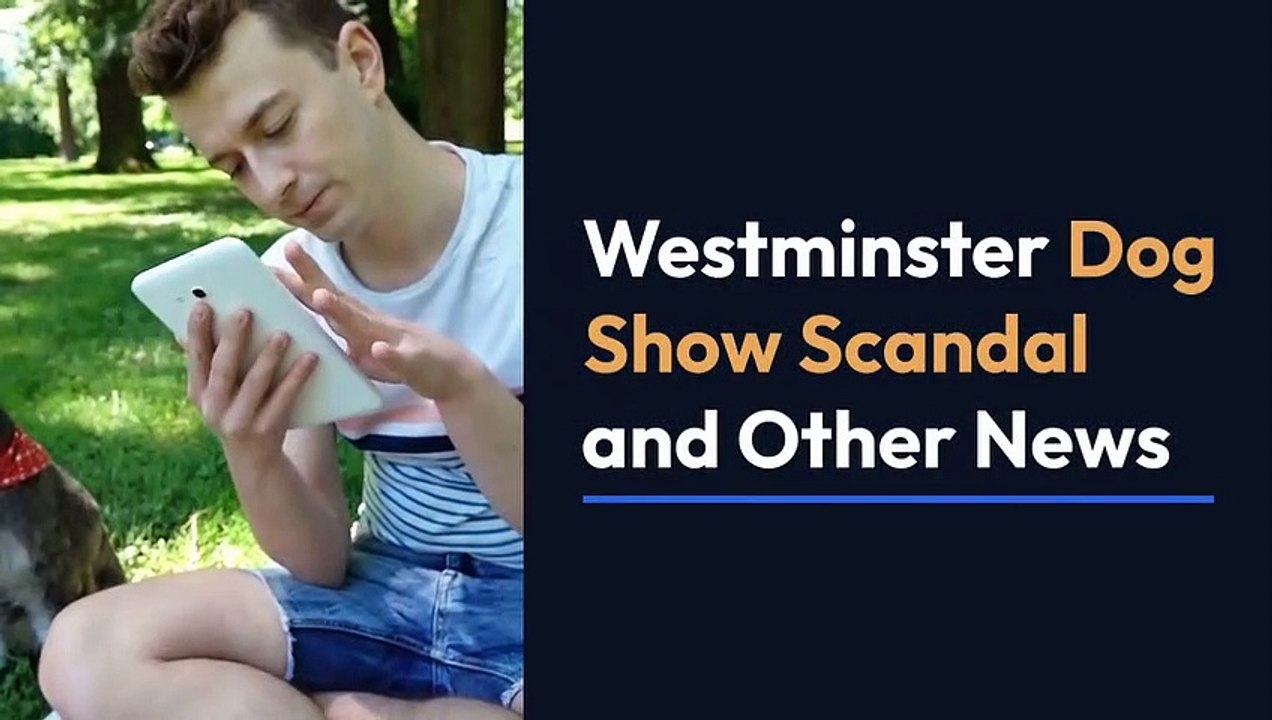 Details, Fiction And Westminster dog show