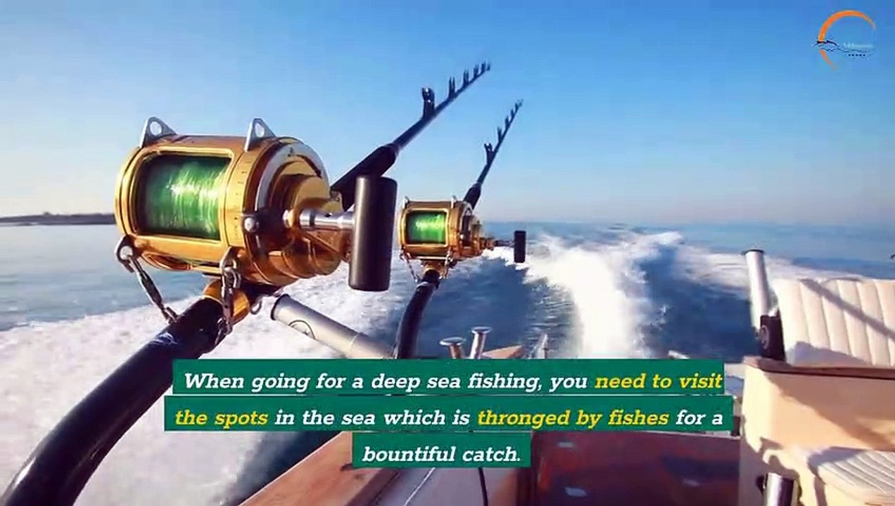 What are Some Tips For Successful Deep Sea Fishing Expedition