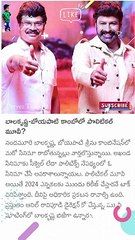 బాలకృష్ణ బోయపాటి కాంబో మూవీ