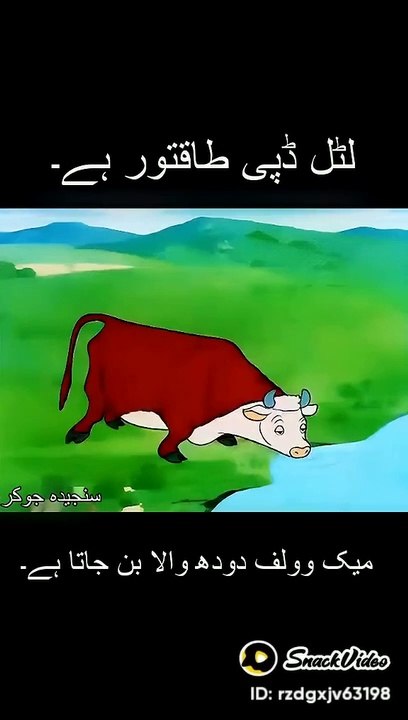 Cartoon cow