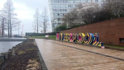 Eurovision 2024: Who Are the Top Favourites to Win? 🎶