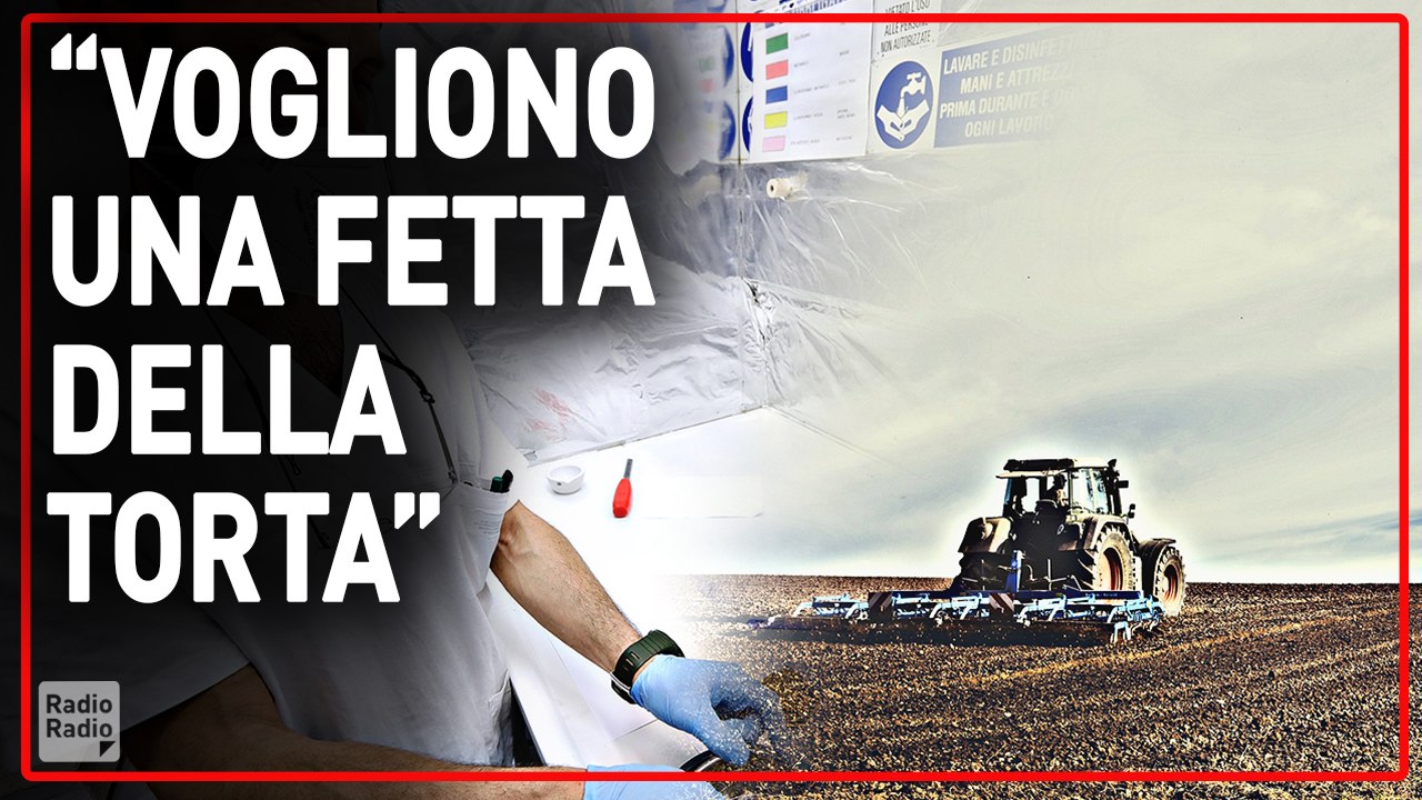 Le multinazionali puntano sul cibo sintetico ▷ "Influenzeranno le scelte dei governi democratici"