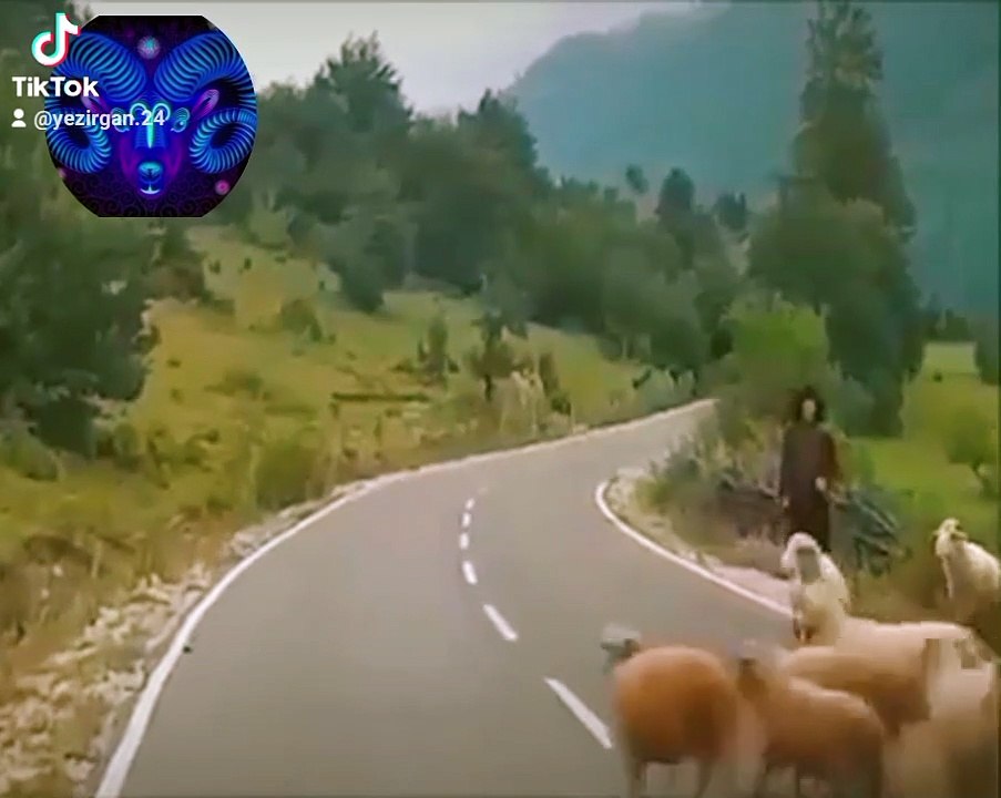 ♈ Koç ♈