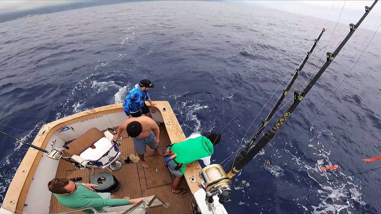 Springing into Action